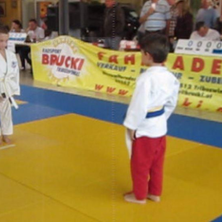 Florian Judo 2011